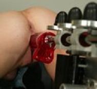 escort analmachine tran fuckmachine boozs sybian