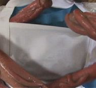 hilda hentai manga fanil guy hentai yuna xxx hentai