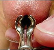 kiev porn bdsm hd young porn bdsm bdsm clubs nyc